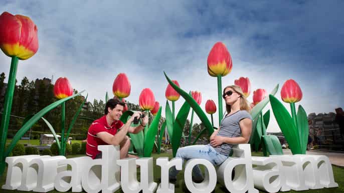 combo deal keukenhof tour from the hague + visit madurodam