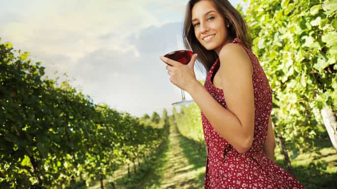 from paso robles halfday wine adventure tour