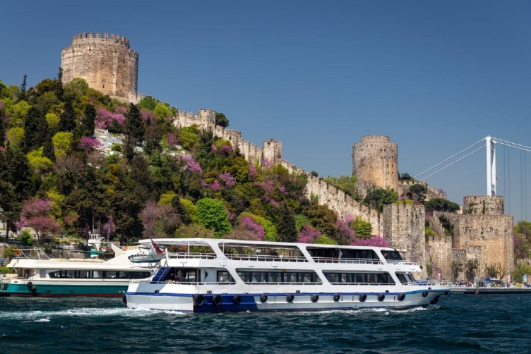 Istanbul: Old Town Tour en Bosphorus Lunch Cruise