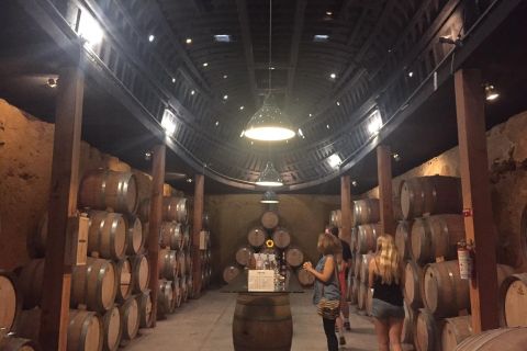 Tour di degustazione di vini della Valle de Guadalupe