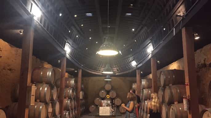 valle de guadalupe wine tasting tour