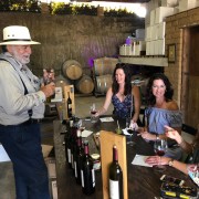 Valle de Guadalupe Wine Tasting Tour