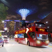 Сингапур: обзорная экскурсия по городу на автобусе с открытым верхом
