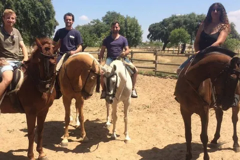 Desde Sevilla: Experiencia a Caballo en el Aljarafe