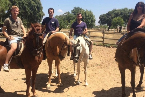 De Séville: expérience d'équitation de 2 heures à Aljarafe