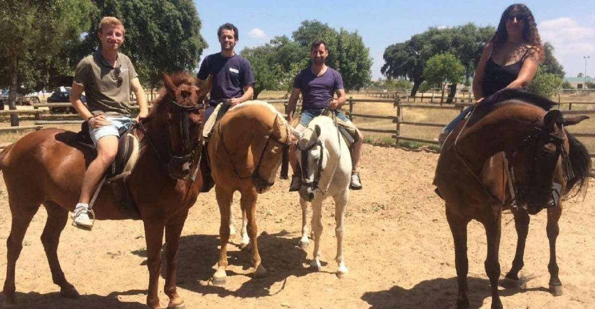 From Seville: 2-Hour Horseback Riding Experience in Aljarafe
