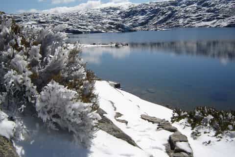 Serra da Estrela Day Trip