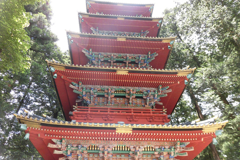 Tokio: Visita al Santuario Nikko Toshogu y a la Cascada KegonDesde la estación de Shinjuku