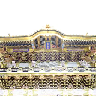 Tokyo: Nikko Toshogu Shrine and Kegon Waterfall Tour