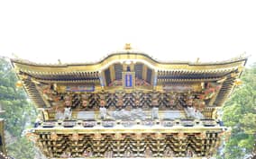 Tokyo: Nikko Toshogu Shrine and Kegon Waterfall Tour