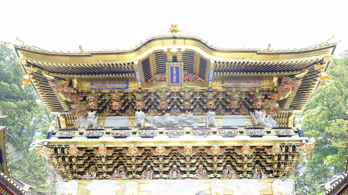 tokyo nikko toshogu shrine and kegon waterfall tour