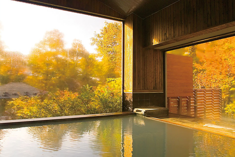 Tokio: Visita al Santuario Nikko Toshogu y a la Cascada KegonTOKIO | Desde la Estación de Tokio (a partir del 1 de abril de 2024)