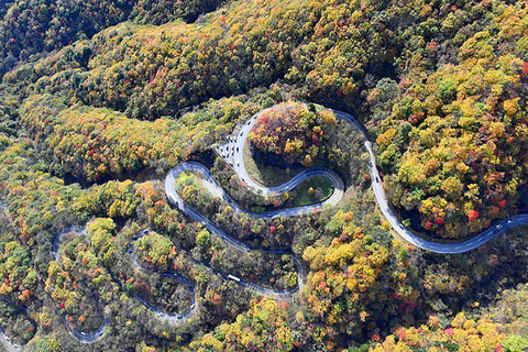 Tokio: Nikko Toshogu Schrijn en Kegon Waterval TourVanaf station Shinjuku