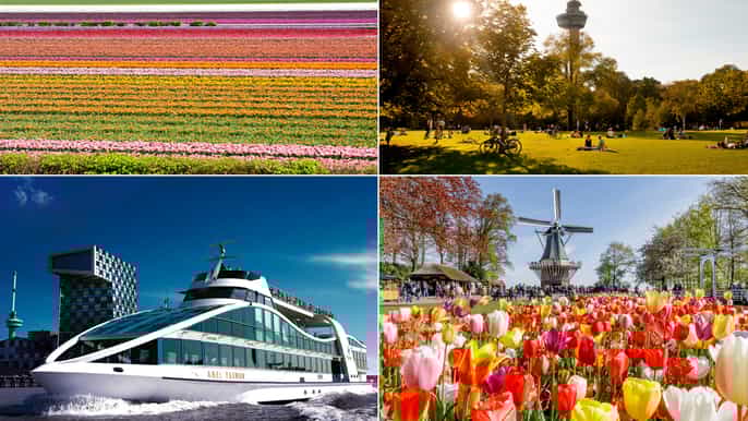 rotterdam keukenhoftour harbor cruise and euromast tour