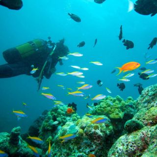 Marmaris: Scuba Diving with a Qualified Instructor