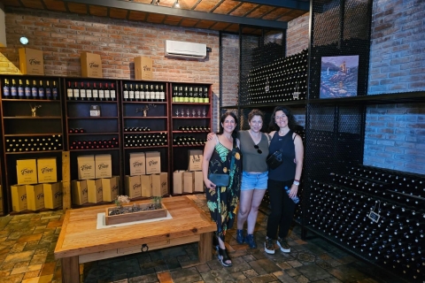 Montevideo: Tannat-wijnervaring in CanelonesAlleen wijnervaring