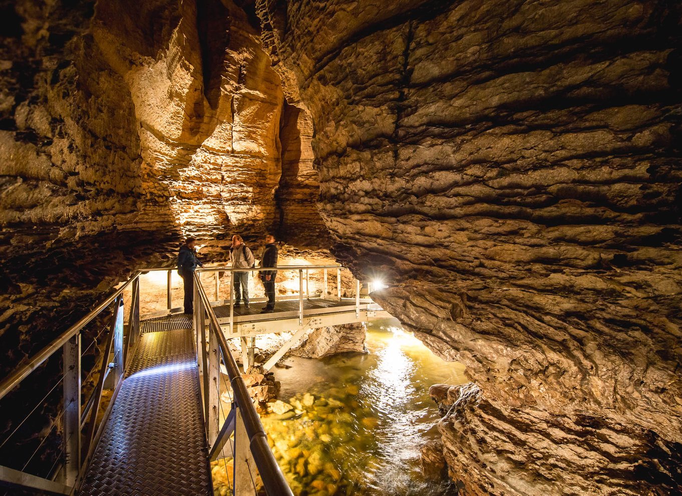 Te Anau: Glowworm Caves Guidet tur