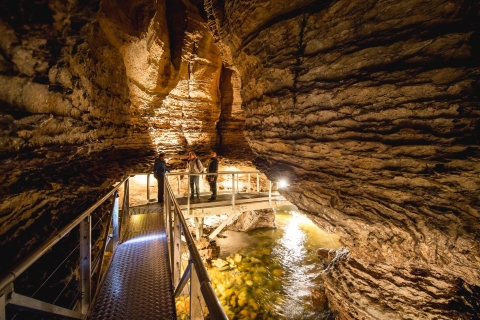 Te Anau : visite guidée de la grotte aux vers luisants