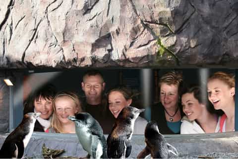 Lyttelton Shore Excursion: City Sights & Antarctic Centre