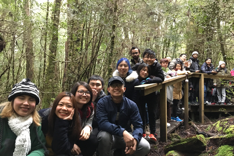 Da Hobart a Cradle Mountain a Launceston