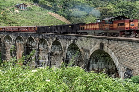 Haputale: Ella Day Tour with Tea Factory and Cooking Class