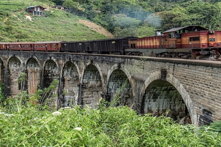 Haputale: Ella Day Tour with Tea Factory and Cooking Class