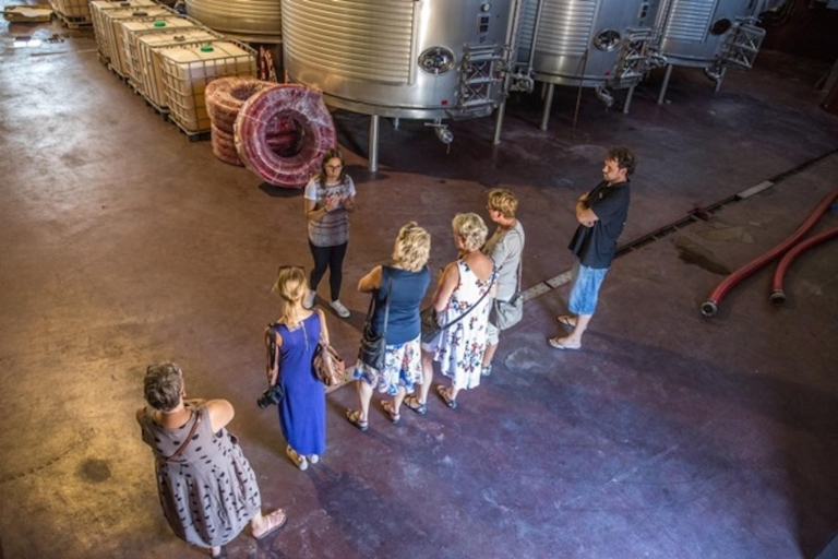 Alicante : visite des vignobles et dégustation de vins