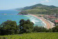 Zarautz, Getaria en Zumaia van San Sebastian - Housity