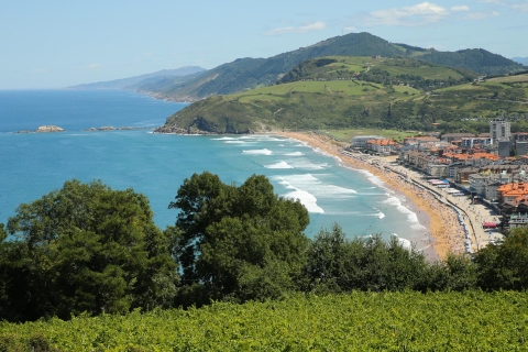 Z San Sebastián: Small-Group Gipuzkoa Coast TourWycieczka po małej grupie Gipuzkoa po angielsku