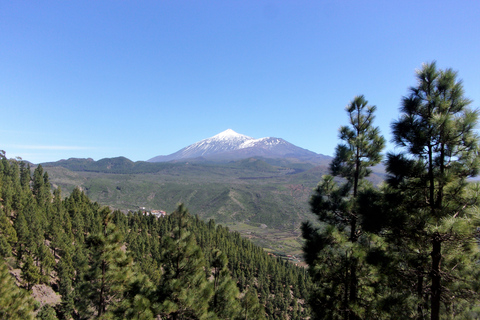 Tenerife: The Almond Blossom Trail