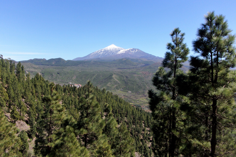 Tenerife: The Almond Blossom Trail