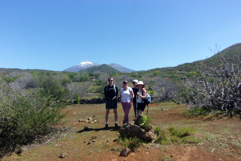 Tenerife: The Almond Blossom Trail