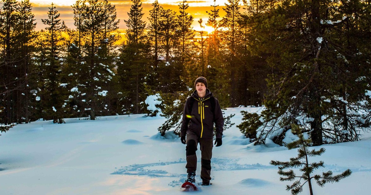 Rovaniemi: Snowshoe and Photography Wilderness Adventure | GetYourGuide