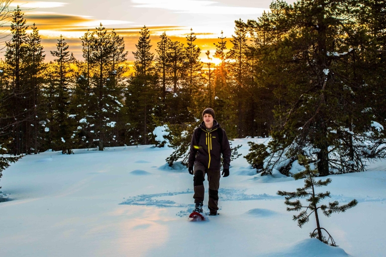 Rovaniemi: przygoda na rakietach śnieżnych i fotografia w dziczy
