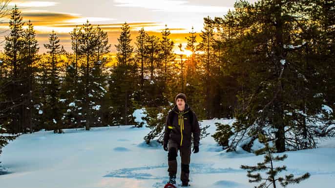 rovaniemi aventure en raquettes et en photographie dans la nature