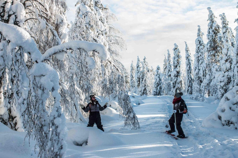 Rovaniemi: Schneeschuh- und Fotografie-Abenteuer in der Wildnis