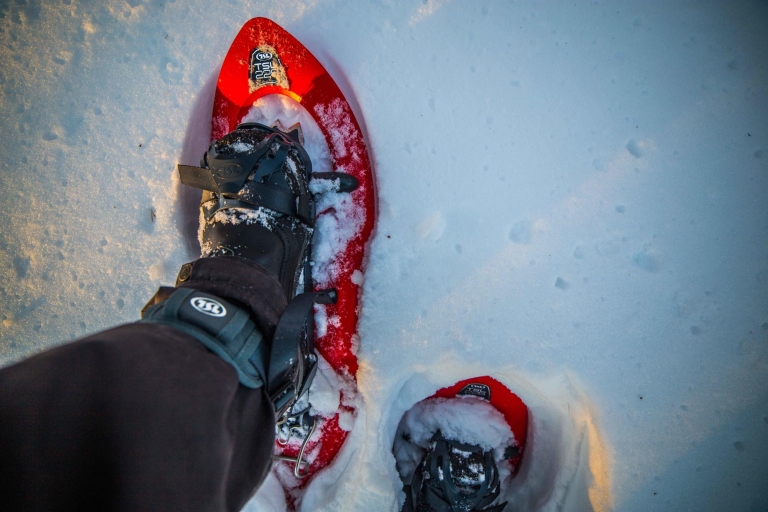 Rovaniemi: przygoda na rakietach śnieżnych i fotografia w dziczy
