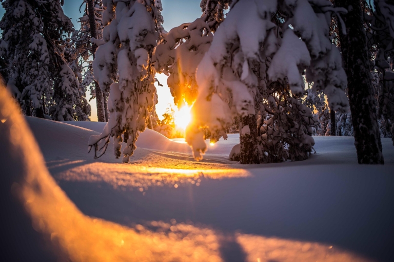 Rovaniemi: Schneeschuh- und Fotografie-Abenteuer in der Wildnis