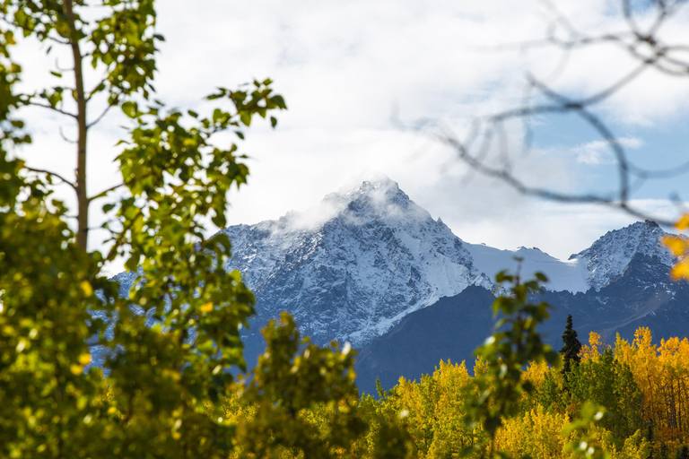 Hatcher Pass: Heated & Enclosed ATV Tours - Open All Year!