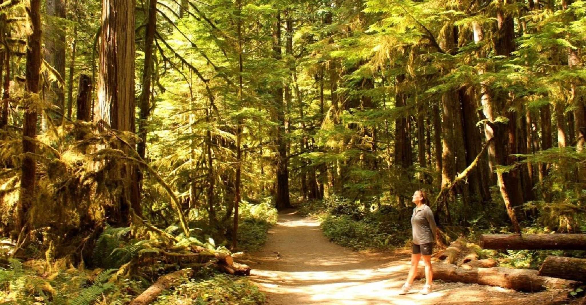 Seattle, Olympic National Park Small-Group Tour - Housity