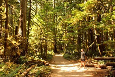 Seattle: Olympic National Park Small-Group Tour