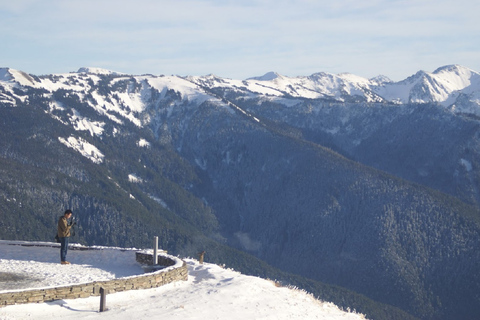 Seattle: Olympic National Park Small-Group Tour Seattle: Olympic National Park Small Group Tour