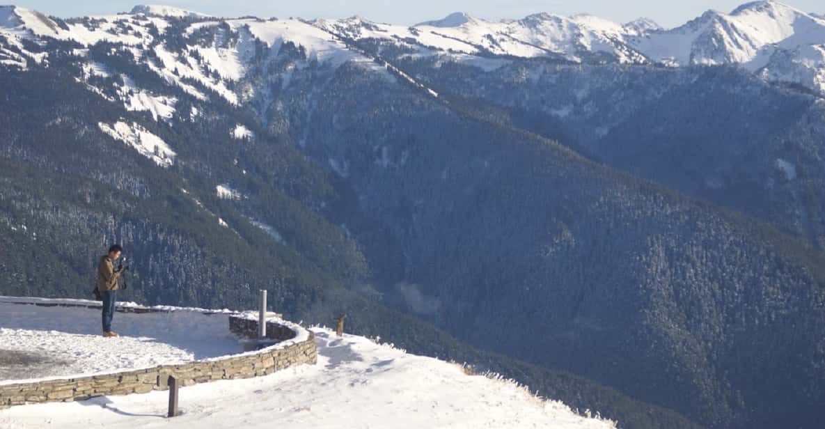 Seattle: Olympic National Park Small-Group Tour