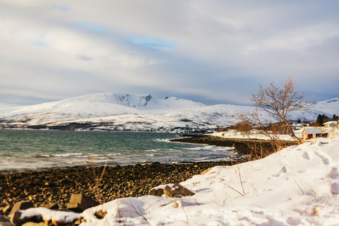 Tromsø: Paisagem ártica e passeio pelos fiordes com lanches