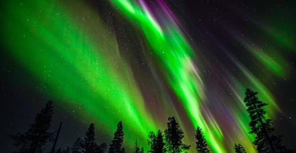 Family-Friendly Northern Lights Tour | Extra 100% Guarantee