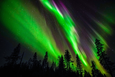 Para toda la familia: Aventura en Aurora Boreal desde Rovaniemi