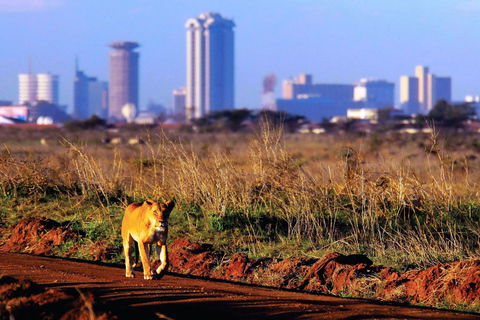 Park Narodowy Nairobi: Wycieczka pół- lub całodniowaWycieczka półdniowa