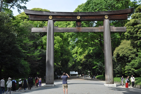 Tokyo e Fuji: Tour privato di 2 giorni con auto PremiumTokyo e Fuji: Tour privato di 2 giorni in auto Premium