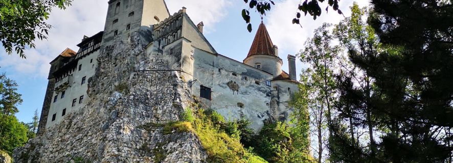 From Bucharest: Dracula Castle Day Trip