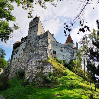 From Bucharest: Dracula Castle Day Trip
